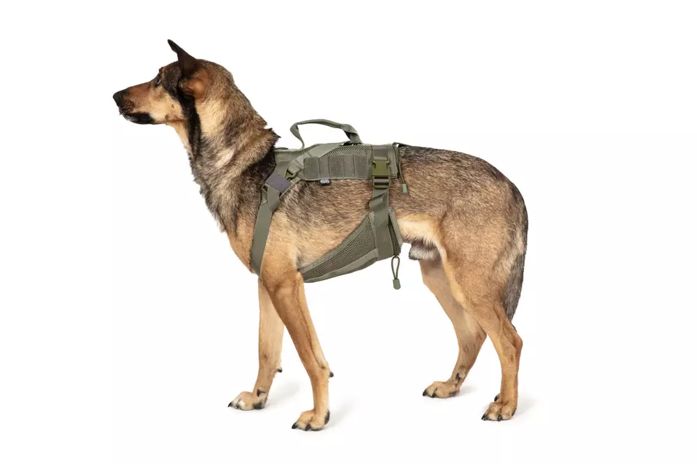 Tactical Dog Harness - Ranger Green