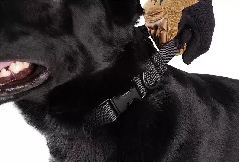 Collier tactique pour chien - noir Noir- boutique Gunfire